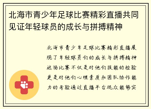 北海市青少年足球比赛精彩直播共同见证年轻球员的成长与拼搏精神